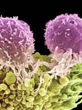 [imagedownload.aspx.jpg]