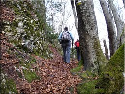 Seguimos por el marcado sendero