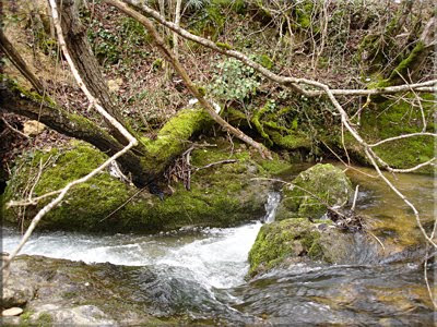 Bello paraje del río del Molino