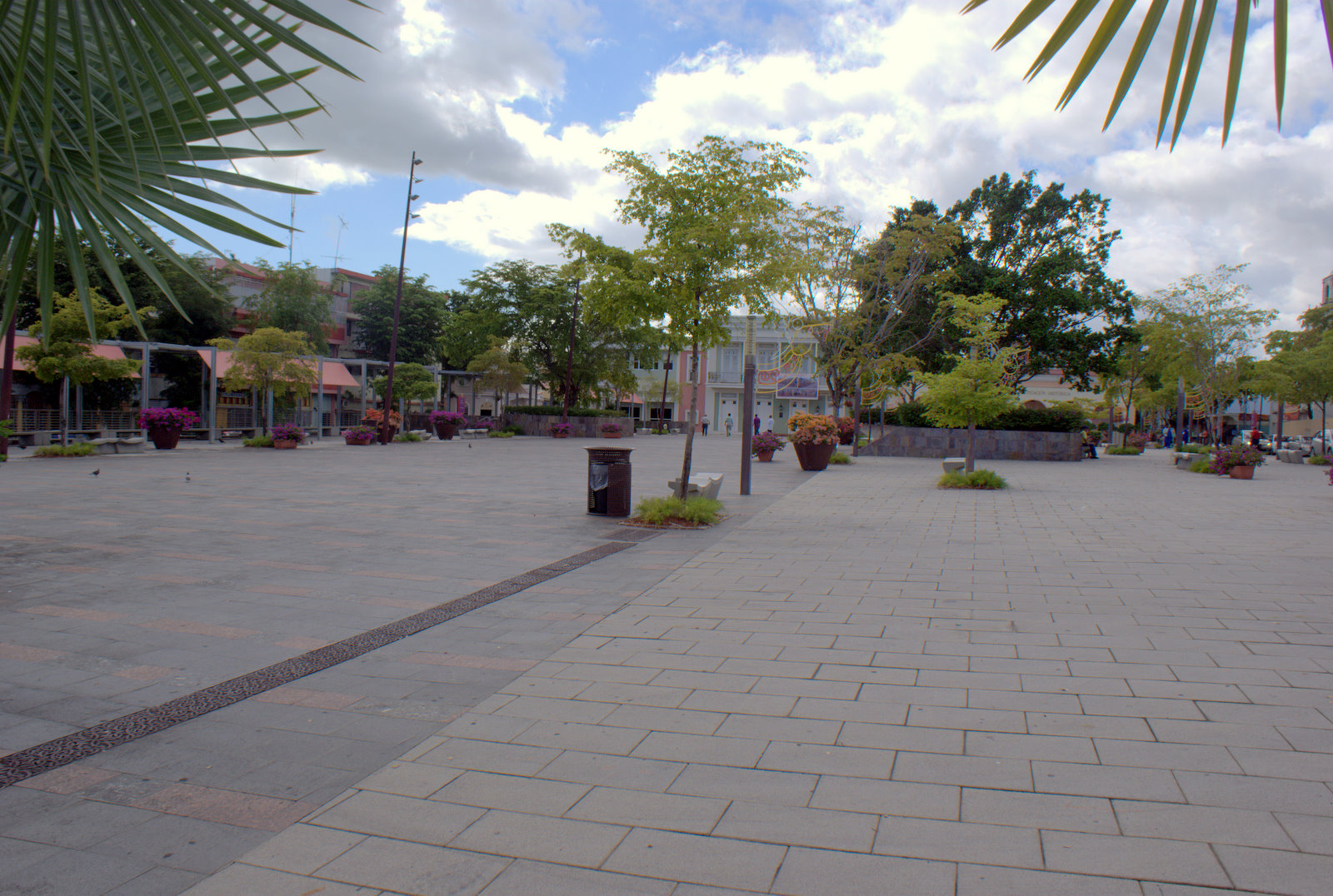 placiando Plaza Pública de Carolina; Rey Fernando III