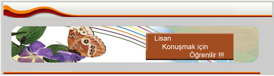 LİSAN KONUŞMAK İÇİN ÖĞRENİLİR