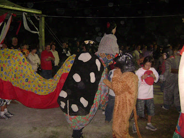Boi-de-mamão na Festa do Divino de 2008