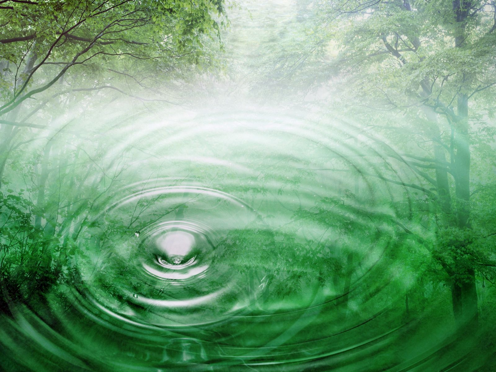 [Radiant+Wallpapers+Collection+14.jpg]