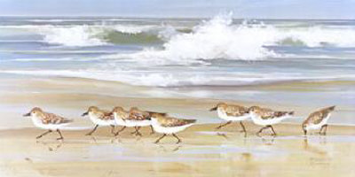 [jacqueline-penney-piper-parade.jpg]