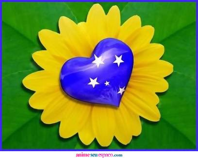 [bandeiras50561.jpg]