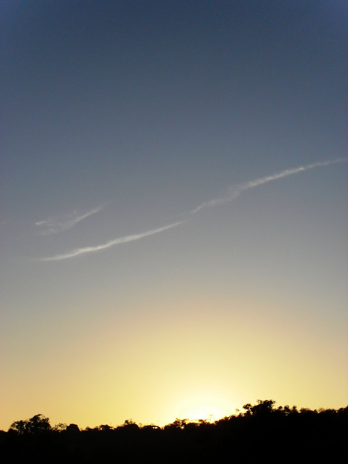 [sammisreachers.JPG]