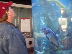 Aquarium in the Hatchery