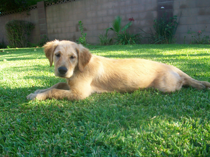 Maggie Mae