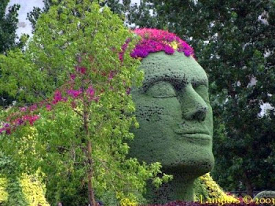 10 esculturas de jardim muito criativas