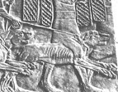 Ancient Mastiffs