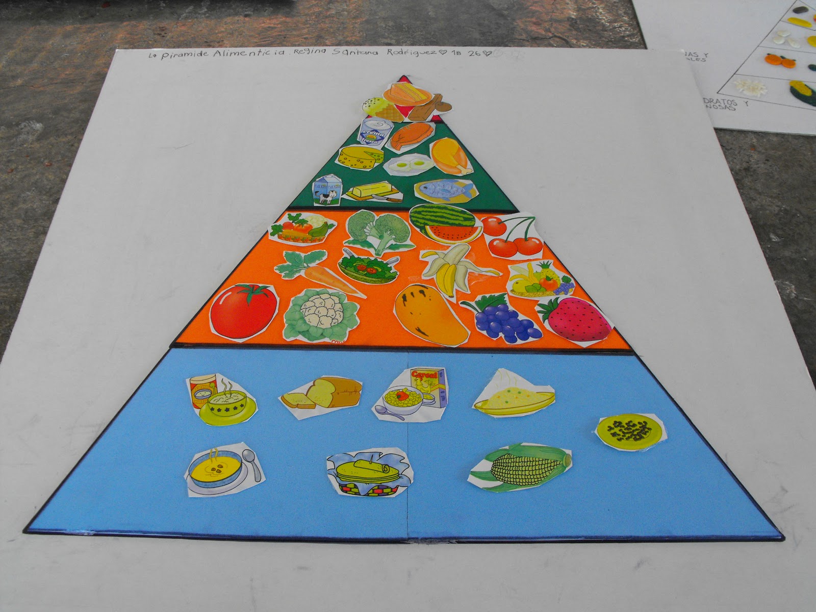 ACTIVIDADES DIA DE LA ALIMENTACION