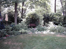 An Arbor For The Swing