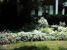 Frontyard Flower Beds