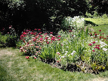 Garden For A Summer's Day