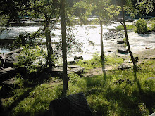 Shadow and Sun on Water