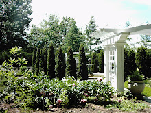 The Rose Garden