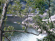Creek at Cumberland Falls