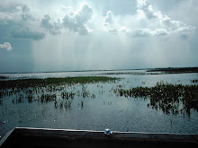 Rain In The Distance