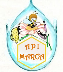 ASSOCIAZIONE " APIMARCA "