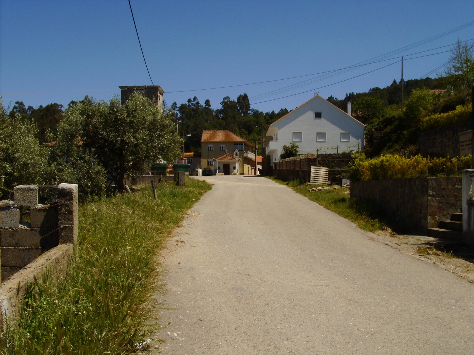 [entrada+Cadafaz.JPG]