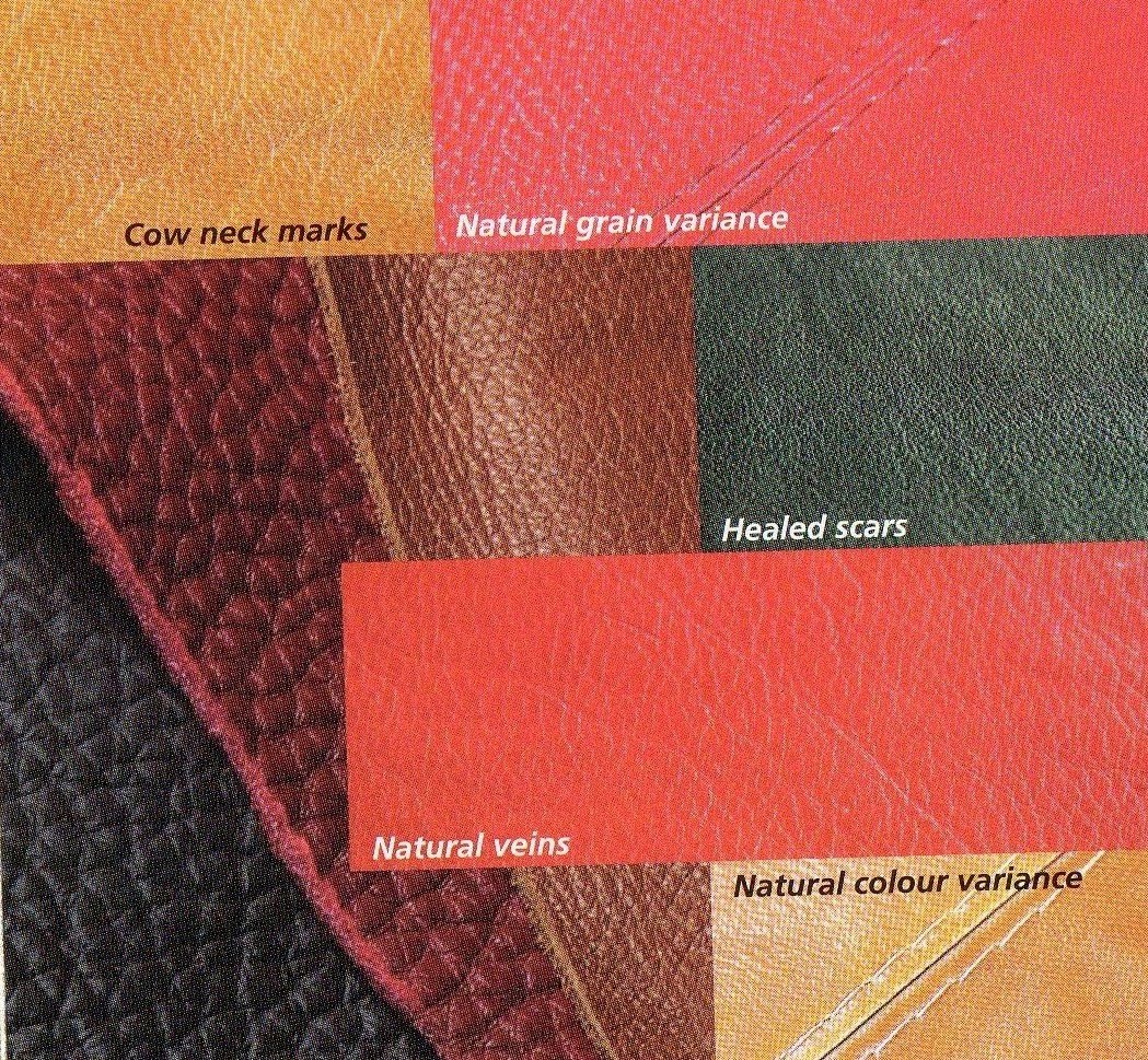 FSD: Natural Characteristic of Leather