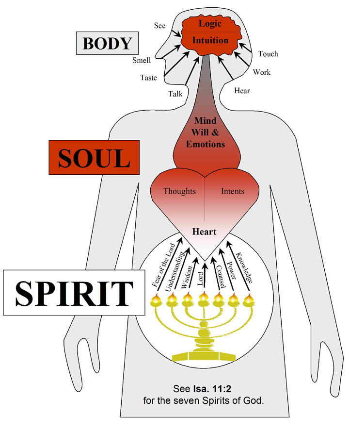 Spirit Soul Body Diagram Christian