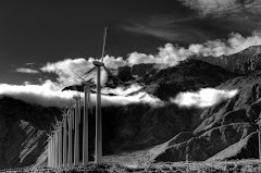 My photo of the week