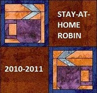 Stay at Home Robin!