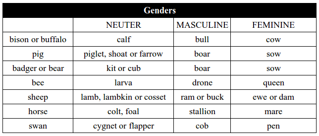genders-of-nouns-neuter