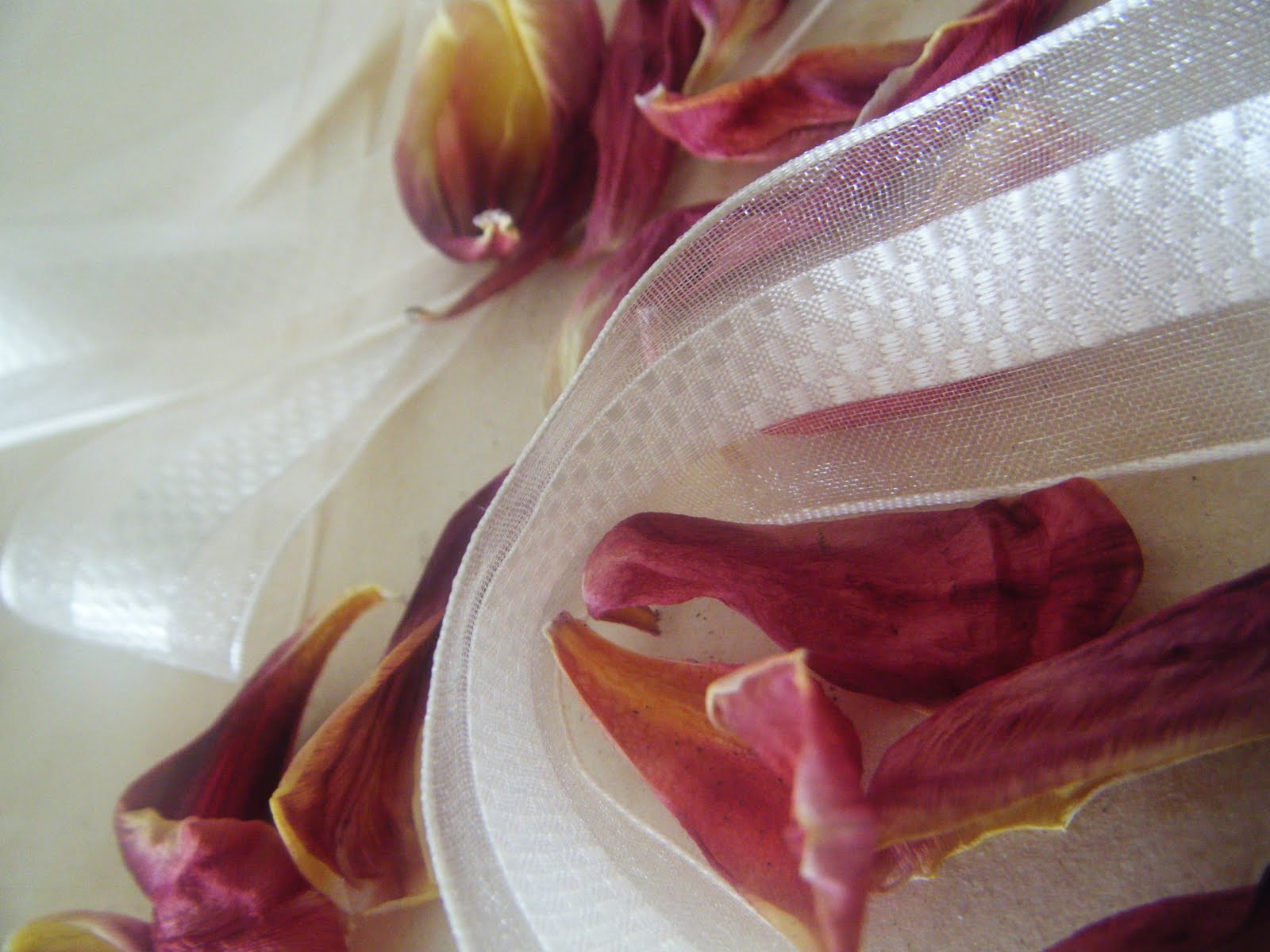 Corners and Moments Treasures, Dried Tulips, Beer and Baking