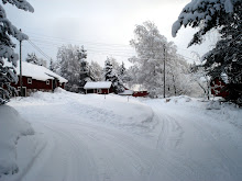 Vinter 2011