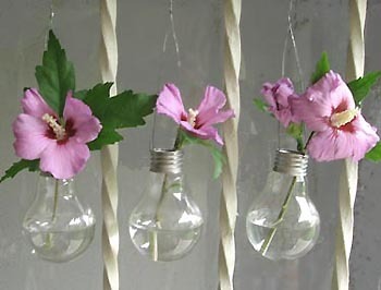 [lightbulb-vases.jpg]