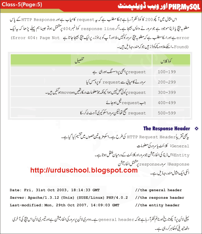 Learn Computer in Urdu, Computer Courses in Urdu December 2010