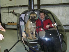 Frank the heli-dog