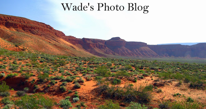 Wade's photoblog