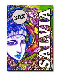 [Salvia+Divinorum.jpg]