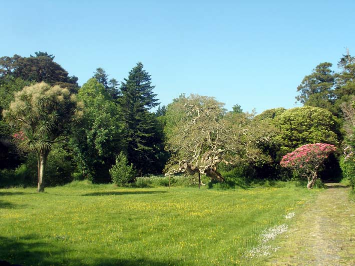 [Wiese+mit33_34_596.JPG]