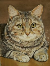 CAT PORTRAITS<br>click the picture to visit my website Cat Portrait Gallery