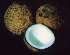 Coconut Oil Diet Information