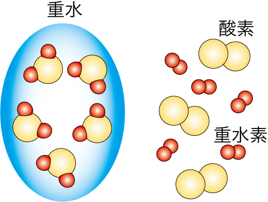 重水素 Deuterium JapaneseClass.jp