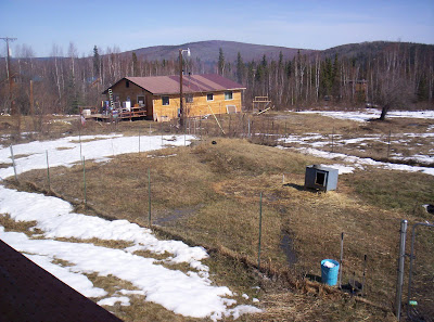 Morris family: This Week in the Morris House