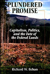 Excellent source on the plundering of our "commons"...