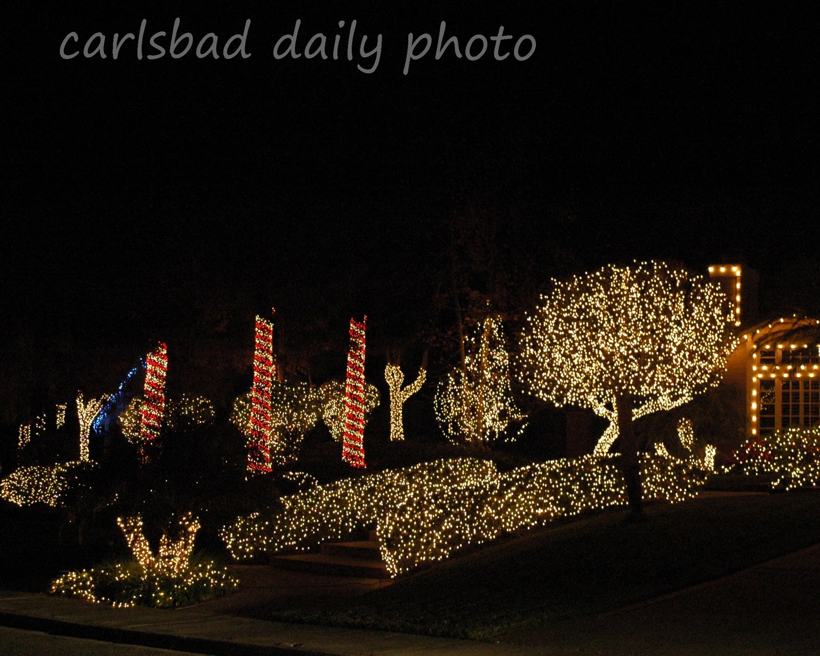 Carlsbad Daily Photo Lights