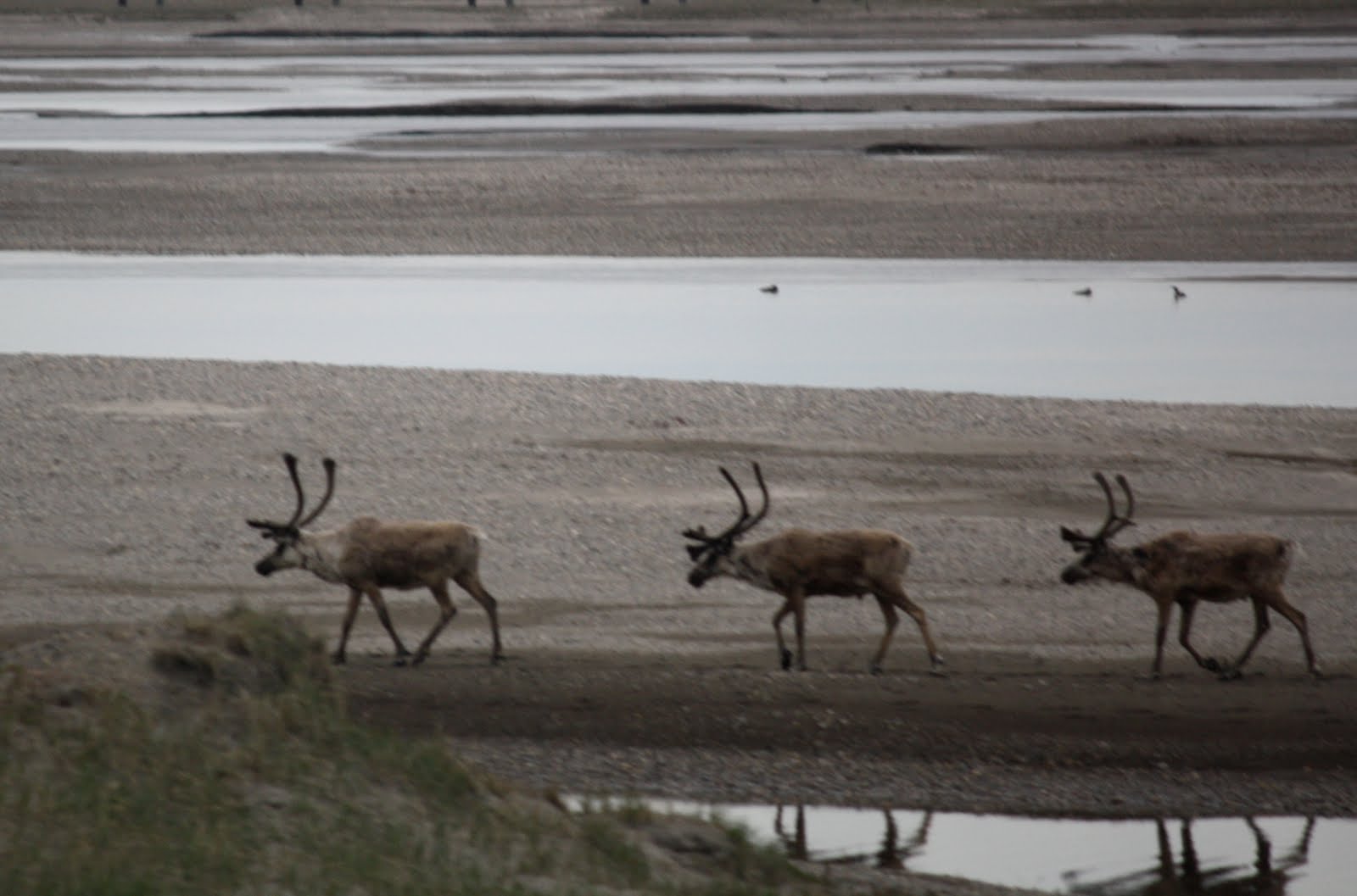 Ice and Snow Dalton Highway to Deadhorse/Prudhoe Bay
