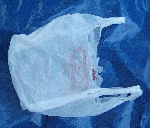 [Plastic+Bag.jpg]
