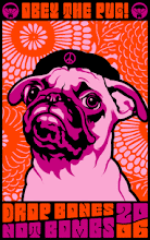 OBEY THE PUG