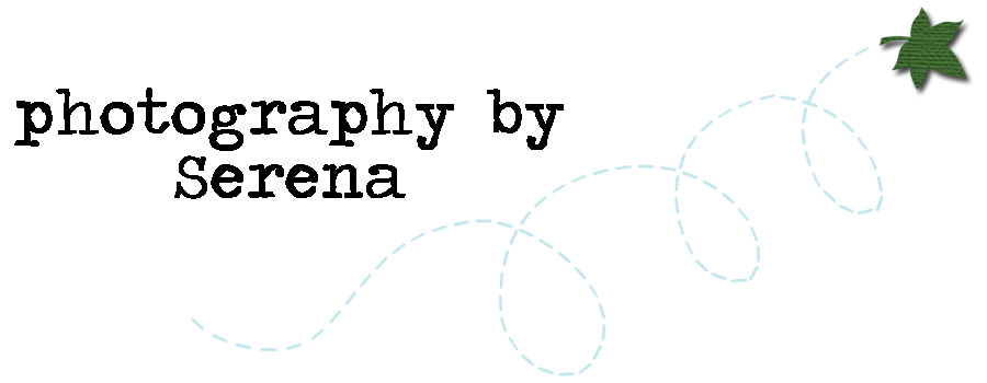 photography by serena about me