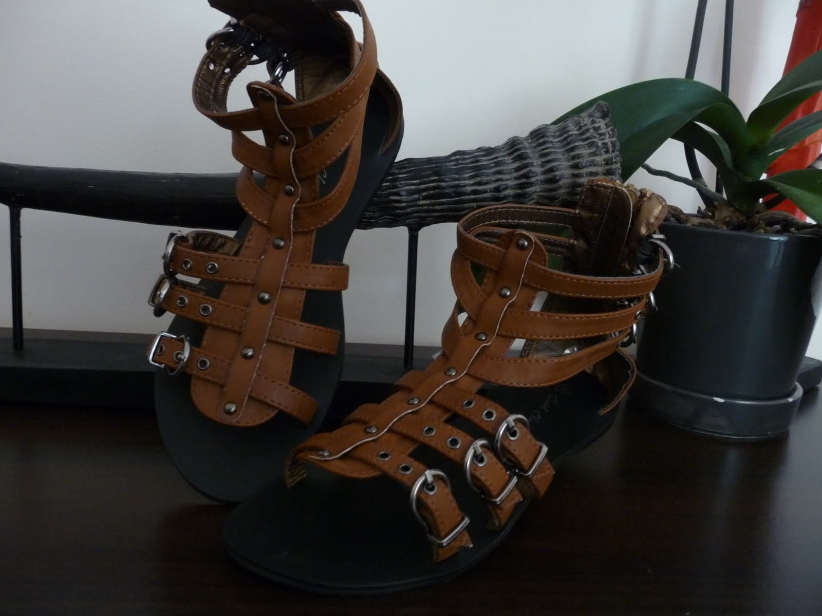 spartiate montant au genou