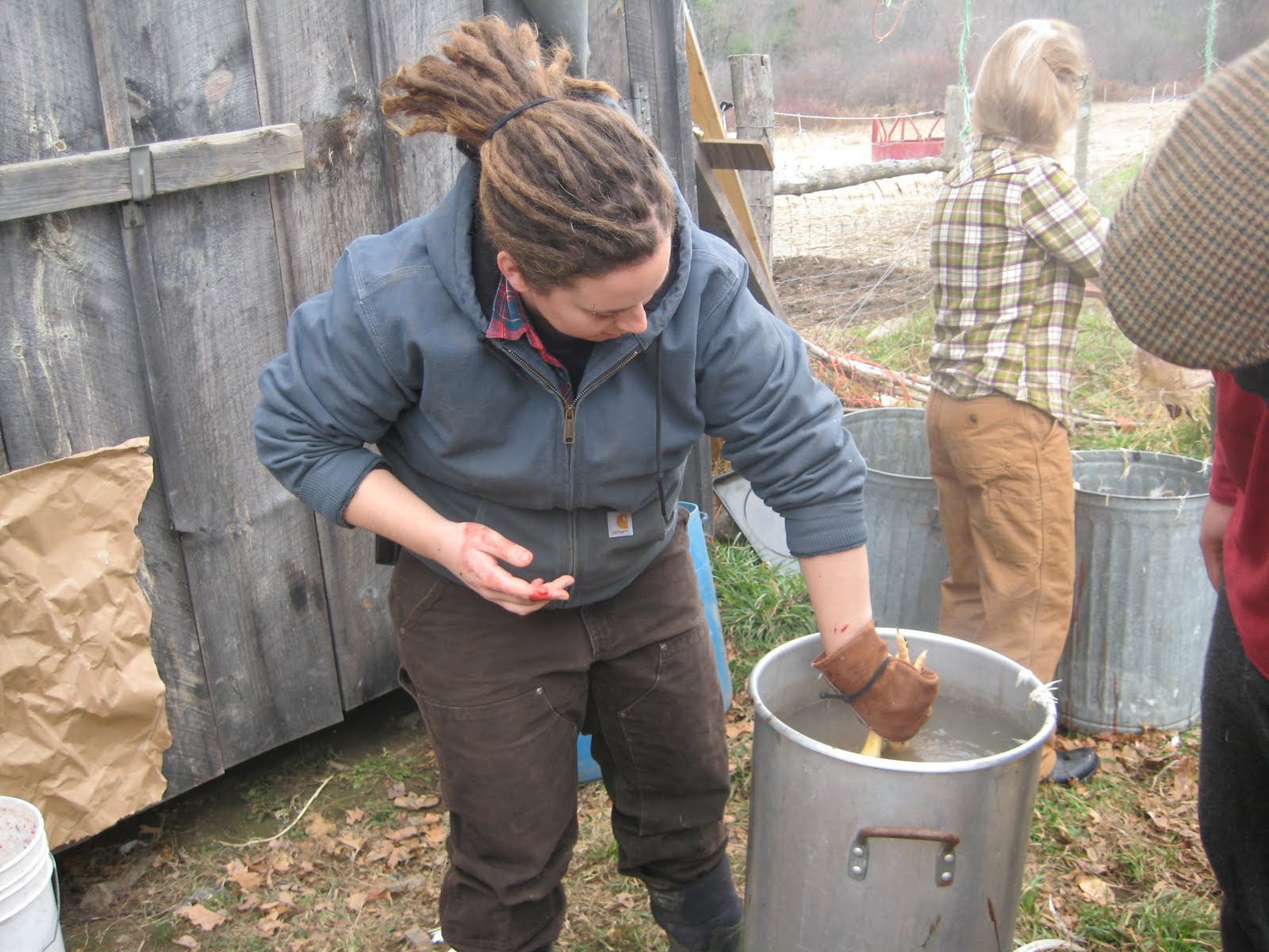 Barn- None: Chicken Slaughter part 2