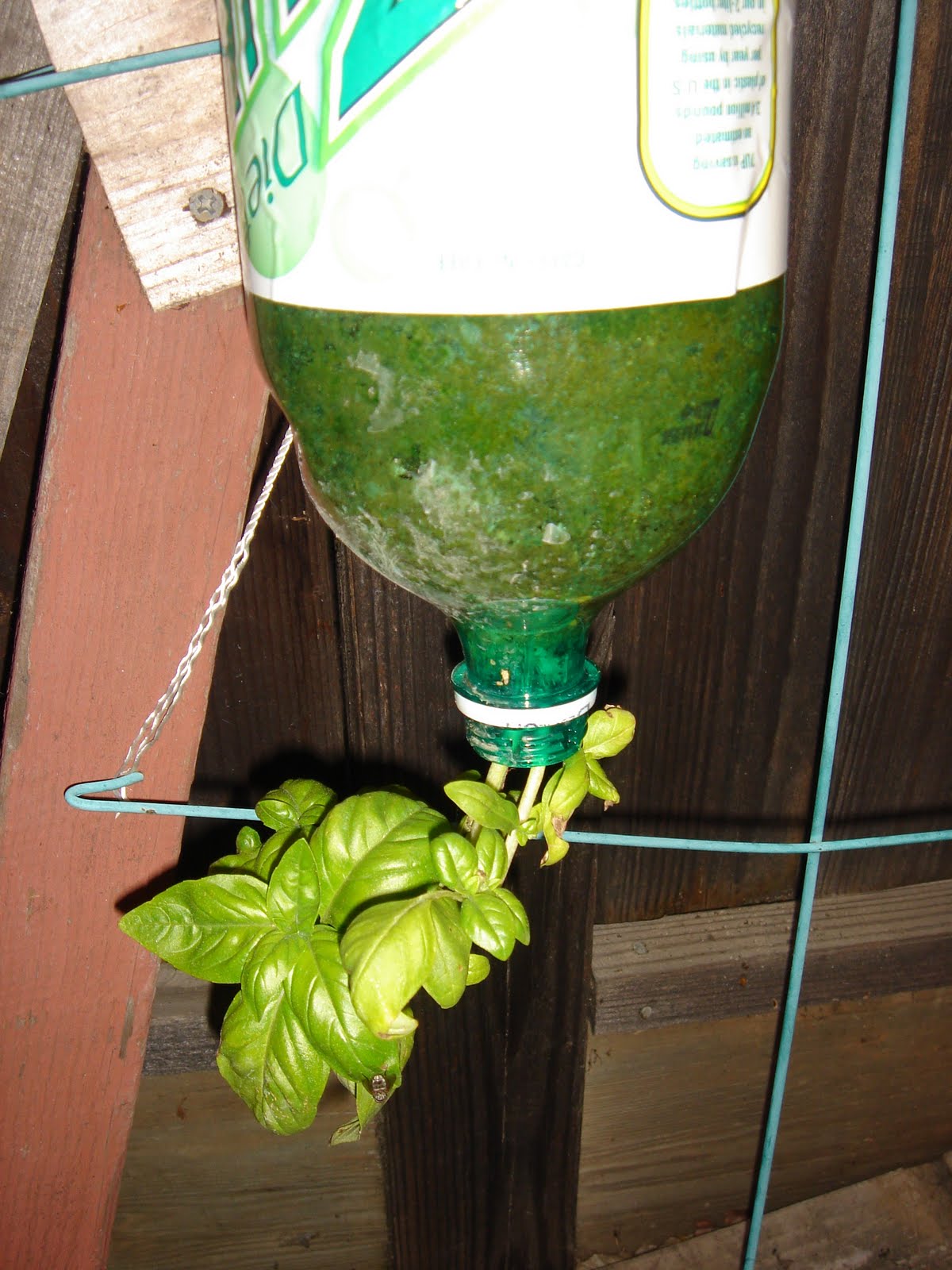 Inspirations DIY 2 Liter Bottle Planters